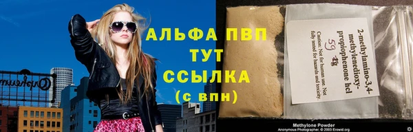 индика Абинск