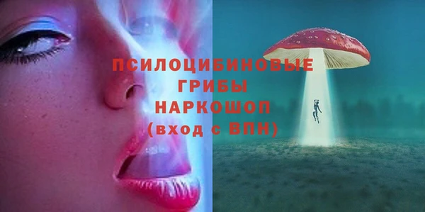 гидра Алзамай