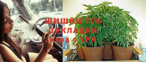 гидра Алзамай