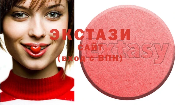 индика Няндома