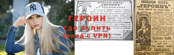 индика Няндома