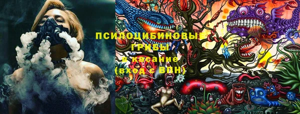 кокс Алексин