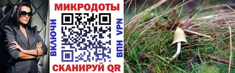 Псилоцибиновые грибы ЛСД  Сясьстрой 